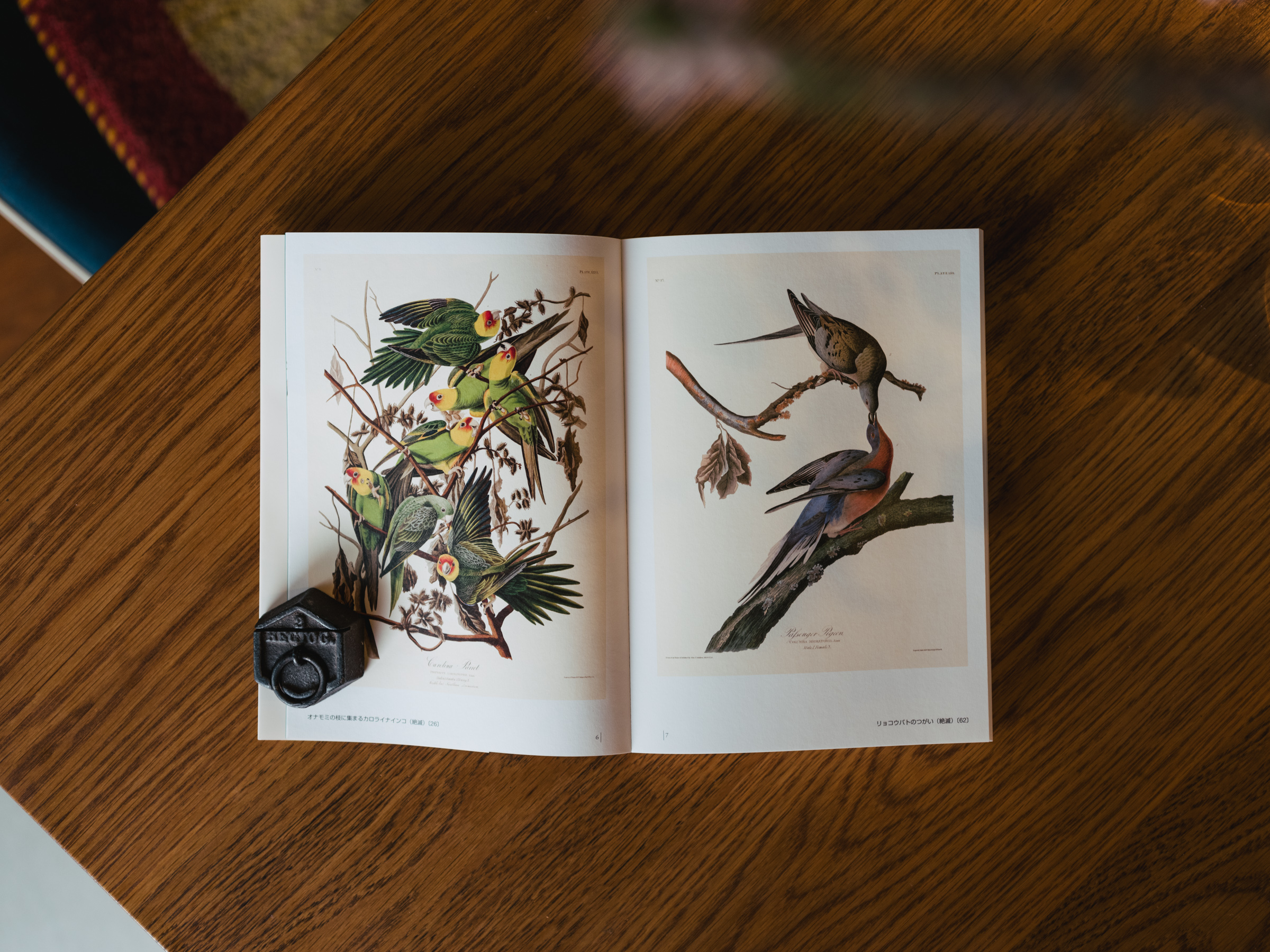 HOT得価「復刻版 オーデュボン『アメリカの鳥類』限千 サイン入リトグラフ5点 1987-88 John James Audubon: Birds of America M. Bernard Loates 石版画、リトグラフ